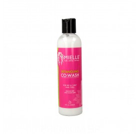 Mielle Detangling Co-Wash 240 ml